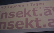 Fahrzeugbeschriftung "insekt.at"